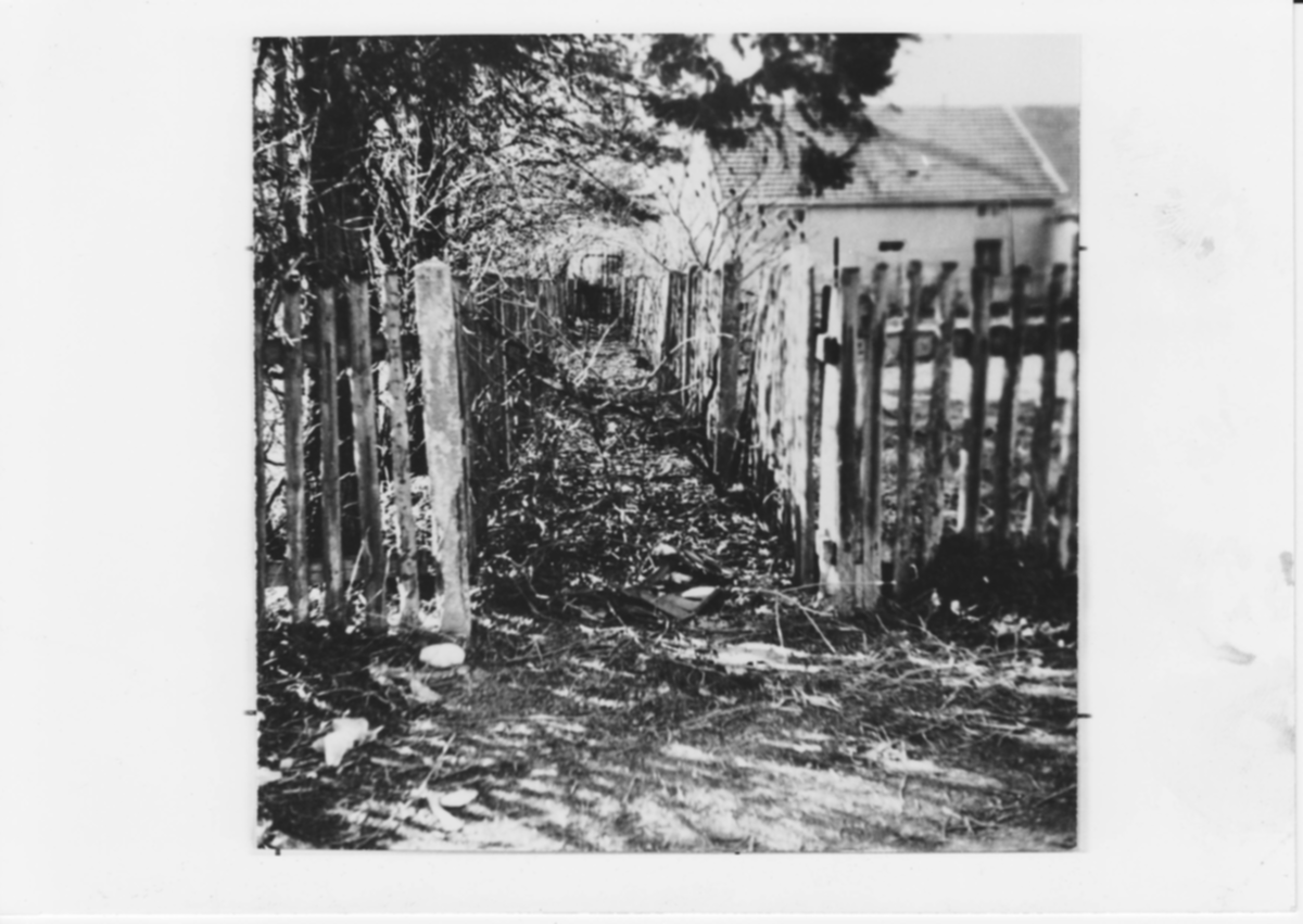 Vorschaubild für historisches Foto 25