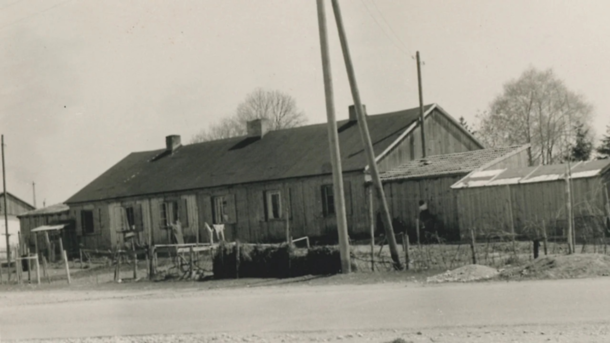 Vorschaubild für historisches Foto 9